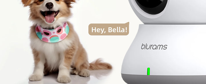 👶 Seu Bebê Sempre Perto — Mesmo à Distância!